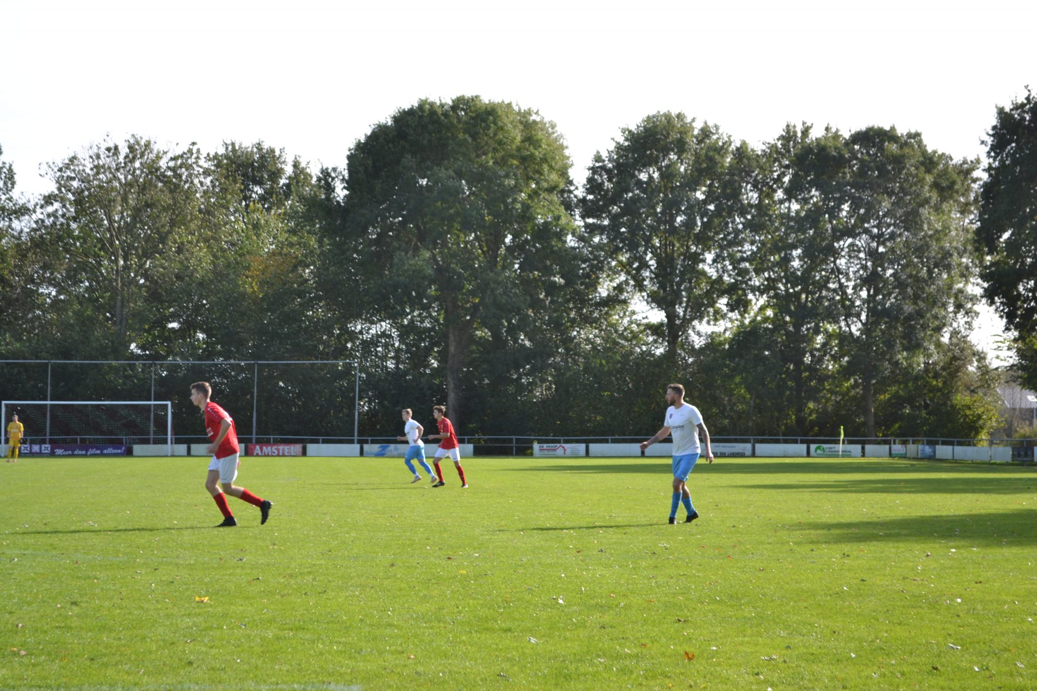 Automatische concepten 6